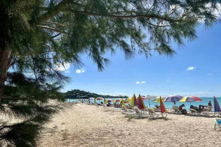 beach with trees hanging over it and sun loungers at Jolly Harbour Beach in Antigua.