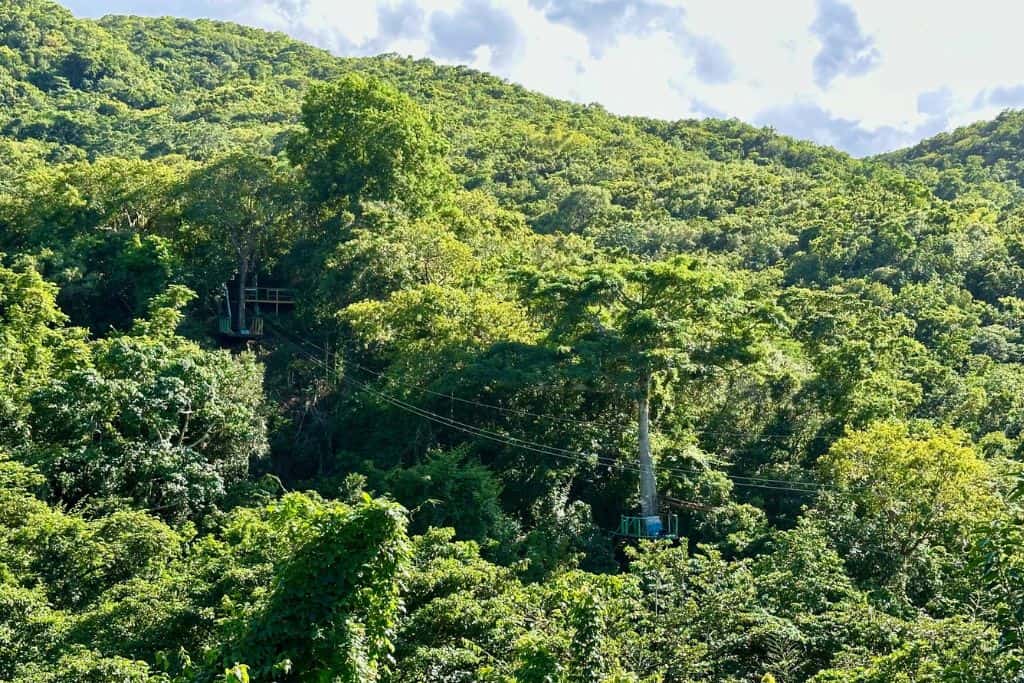 The rainforest in Antigua with a zip lining going through it.