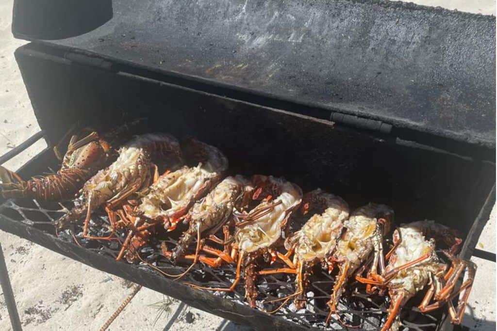 Grill with 8 halves of fresh lobster on it that has been caught in Antigua
