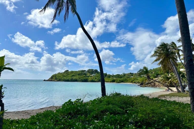 Carlisle Beach in Antigua which is one of the top things o do in Antigua