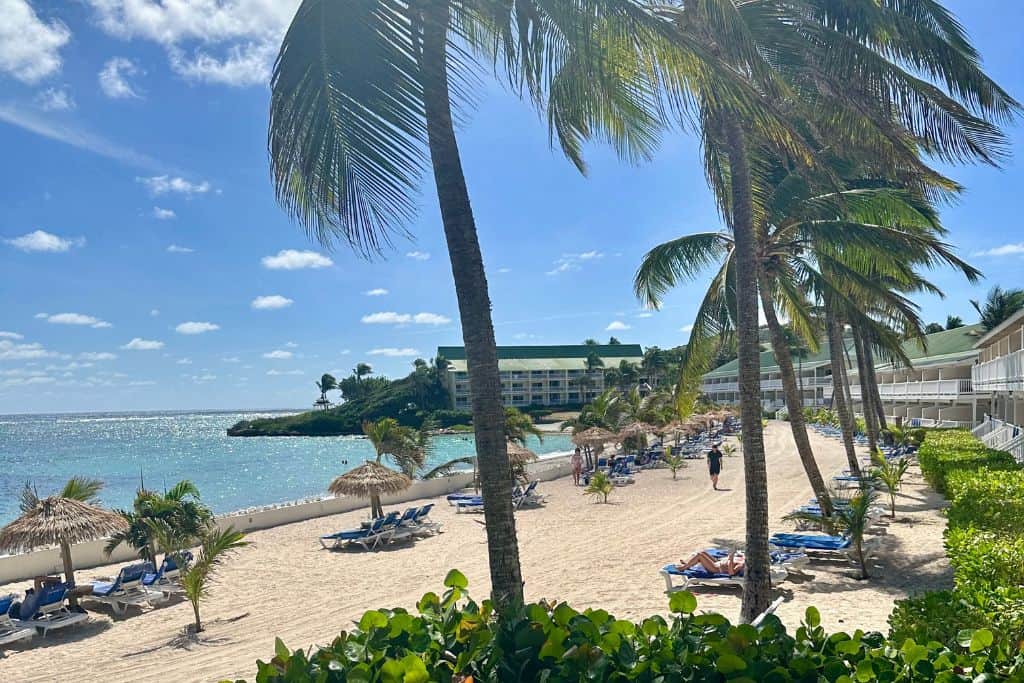 A beach at a hotel resort with palm trees and sun loungers on a golden beach in Antigua