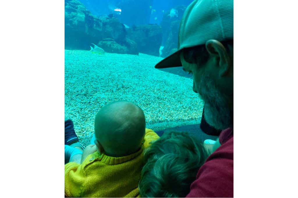 A father sat down on the floor with his back to us with his baseball cap on and his two young sons sat on his lap.  They are watching the fish in the fish tank at the Oceanarium in Lisbon which is one of the top things to do with kids.