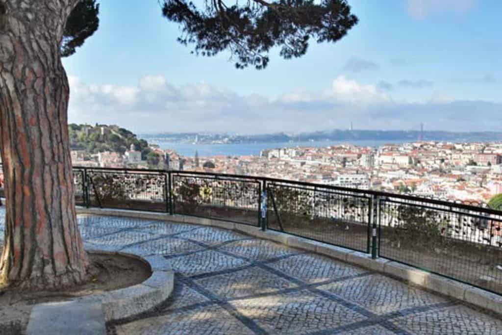 Miradouro da Senhora do Monte with its paved standing area looking out over the view of Lisbon city centre.  There are low hanging branches in the foreground.