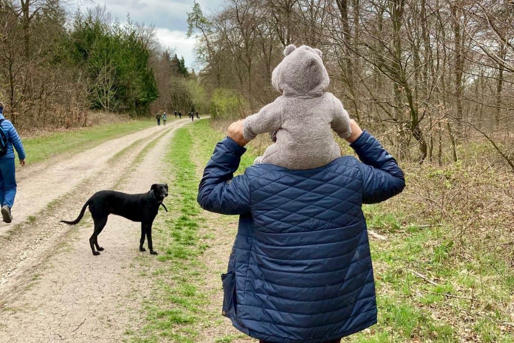 Father in a blue coat with a baby in a bear jacket on his shoulders walking along a track with woodland either side.  In the track is a black dog.