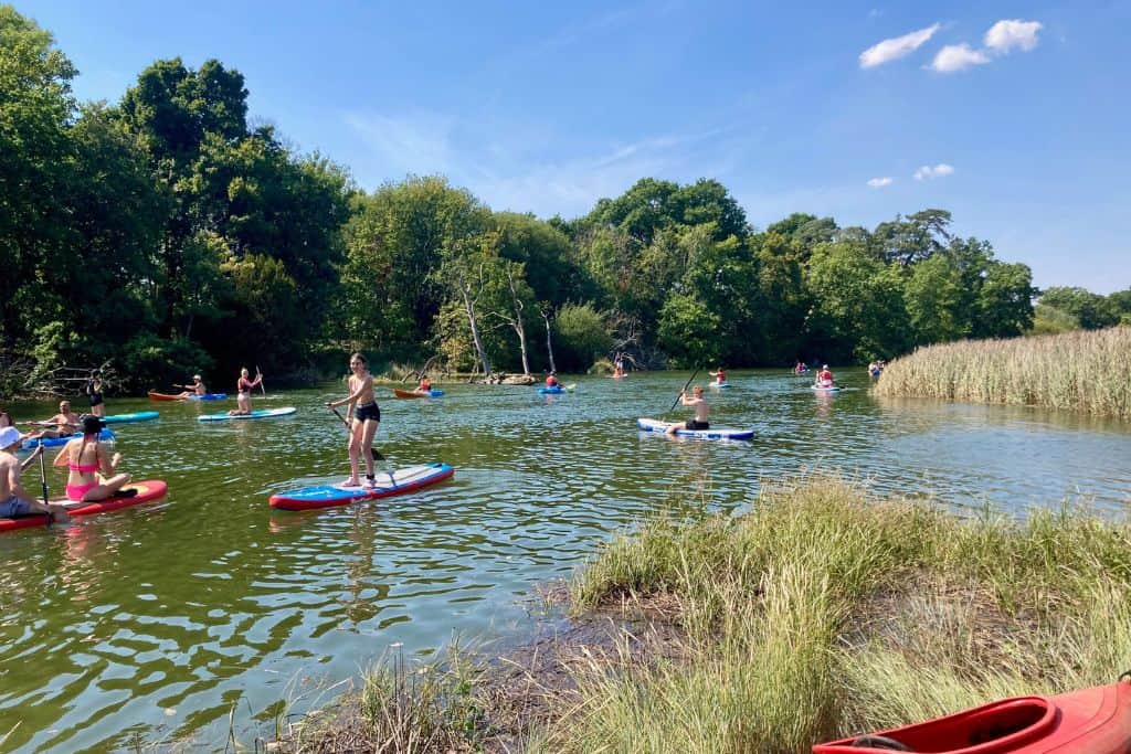 Lots of people in kayaks and on stand up paddle boards on the River Hamble.  In the foreground is lots of grass and then on the far side of the river is a row of trees and bushes.