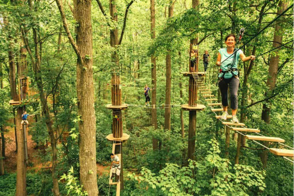 This is a view of the Go Ape high trees course, where there are platforms and rope bridges between the tall trees.  There is a woman in a harness walking along the tree top wooden bridge.  This is on of the top childrens attractions in Hampshire.