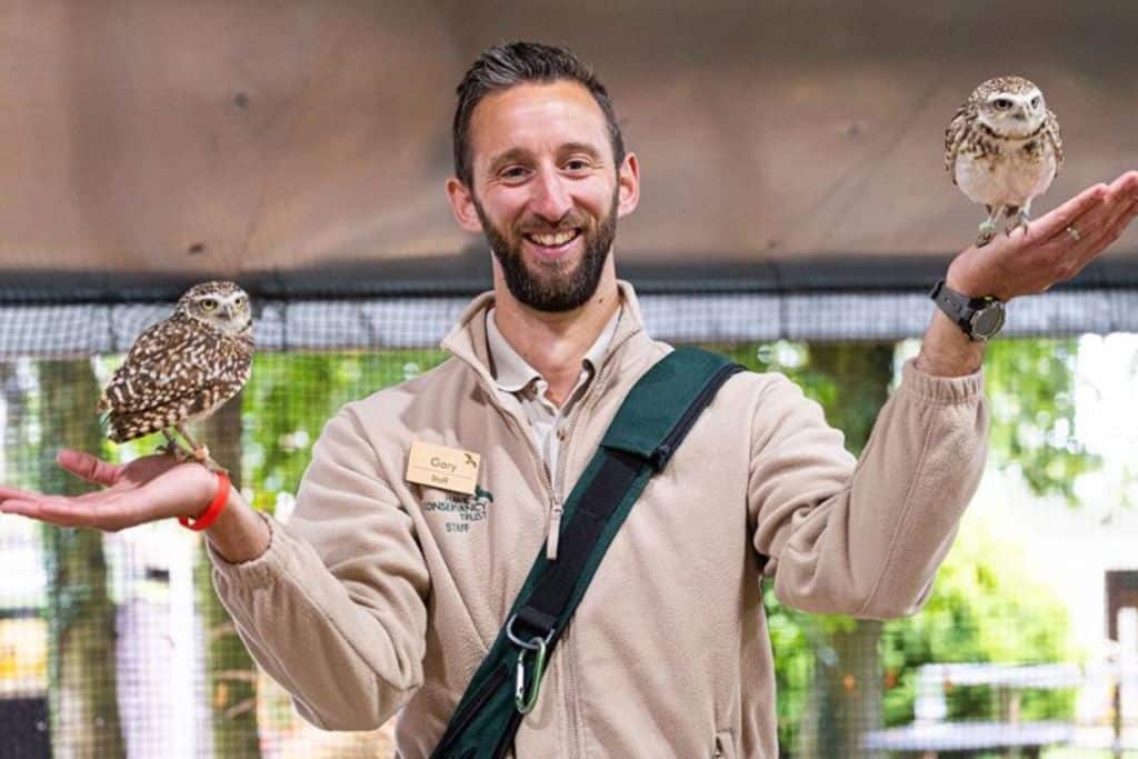 A smiling man in a biege long sleeve shift is holding an small owl in each hand.  He has a bag on with the strap across his body.  The image is taken at the Hawk Conservancy which is a popular childrens attractions in Hampshire.