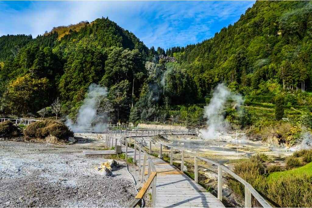 There are several hot springs and wooden boardwalk running form the foreground backwards to the springs.  You can see the stem rising from the hot springs. In the very background you can see lots of bright green trees. 