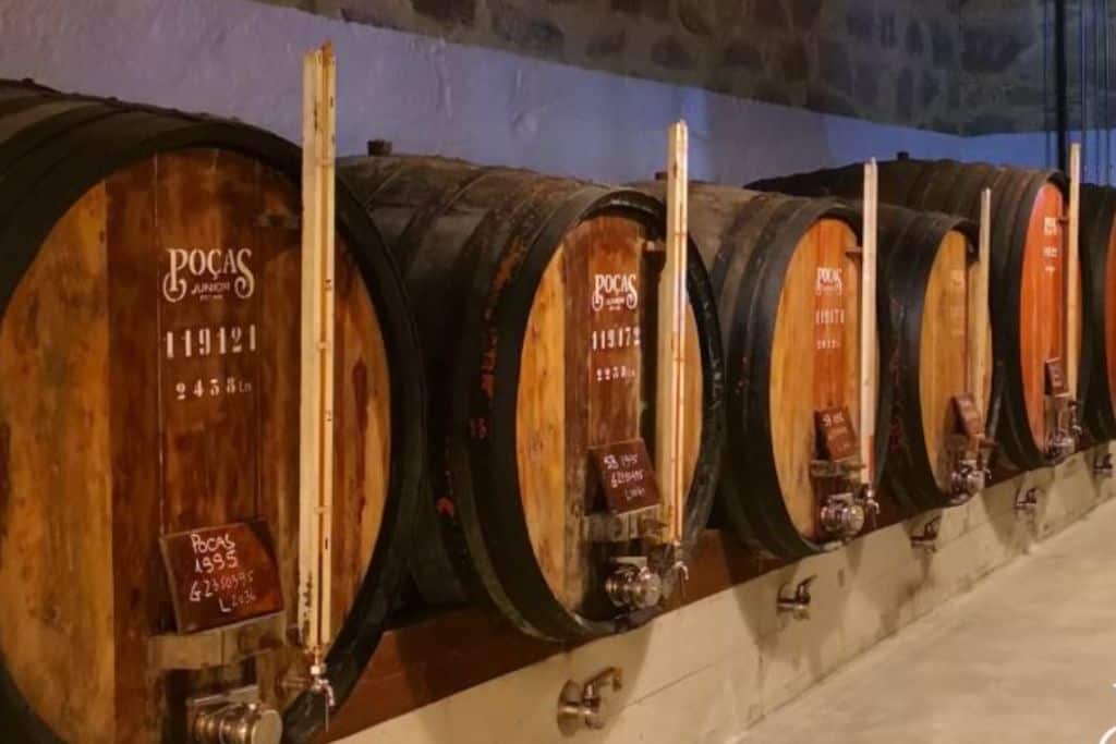 Row of Pocas Vinhos port barrels tapped and ready to give port samples out. This is one of the best wineries in Porto Portugal. 