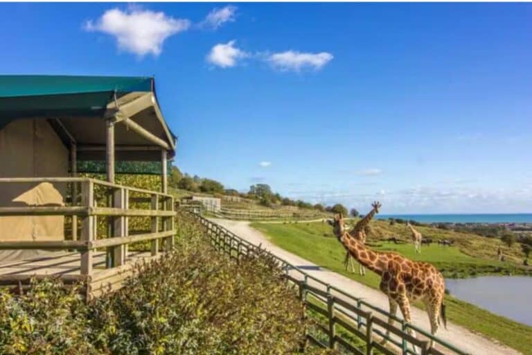 34 Best UK Resorts For Toddlers An Ultimate Guide Big Adventures 34-best-uk-resorts-for-toddlers-an-ultimate-guide-big-adventures