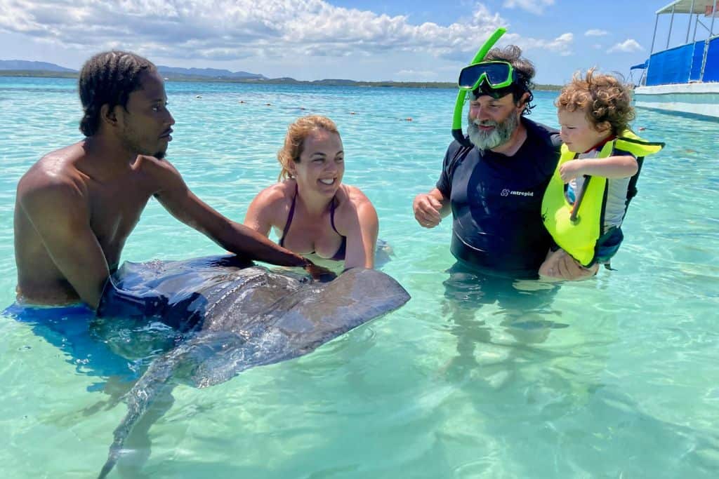 A woman is in the water and in her arms is a sting ray.  Next to her is a local tour guide who is helping her to hold the sting ray.  Looking on next to her is her boyfriend who has on a snorkel mask on and is holding his toddler son in his arms.  His son is wearing a snorkel vest and looking on. They are enjoying snorkelling with their kids.
