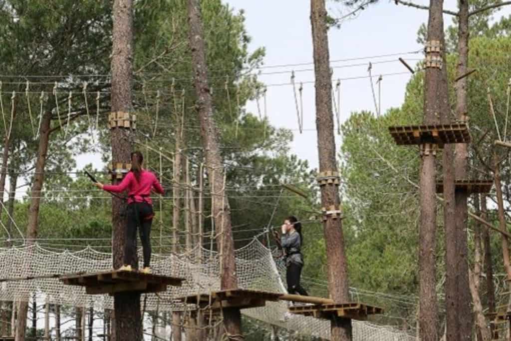 This image is taken in a woodland. In the woodland is a high ropes course and on the left is a platform and a woman ina red jumper has her back to the camera as she does the course. This is Parque Adventure in Albufeira in the Algarve. This is great with kids. 
