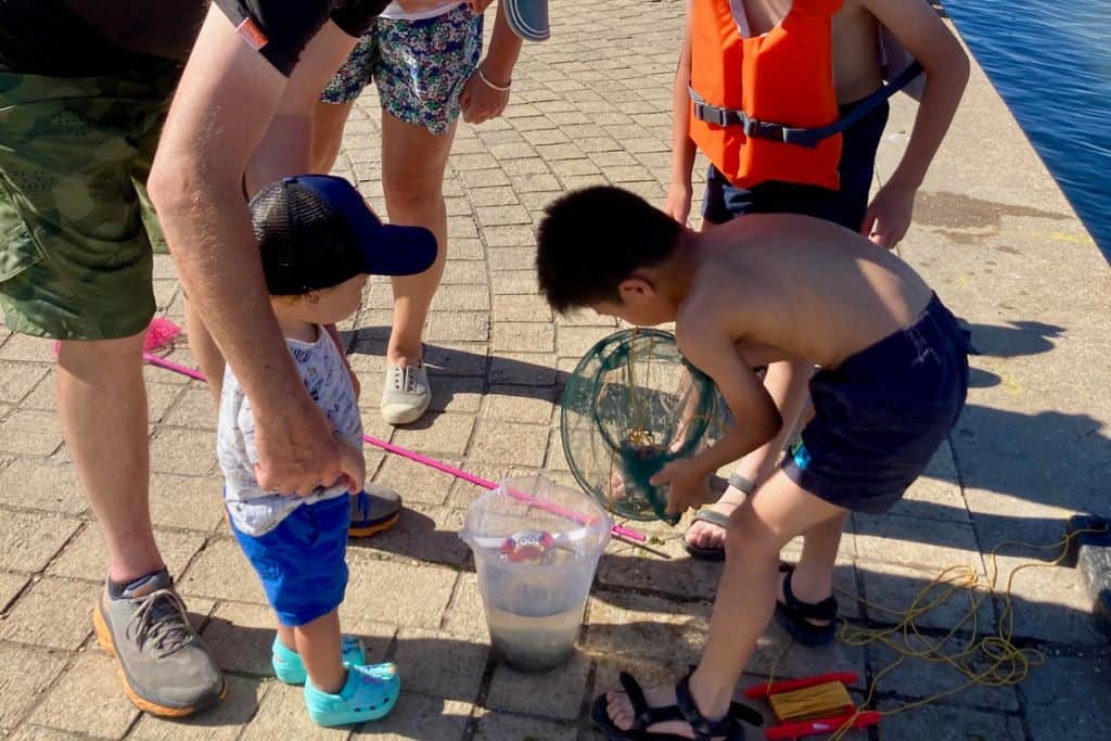 There is a toddler on the quay in Hamble Le Rice and he has a crabbing net in his hand and a bucket of crabs in front of him.  Opposite is another older boy who is looking into the bucket at the crabs.  There is a man standing behind the toddler as you can see his legs.
