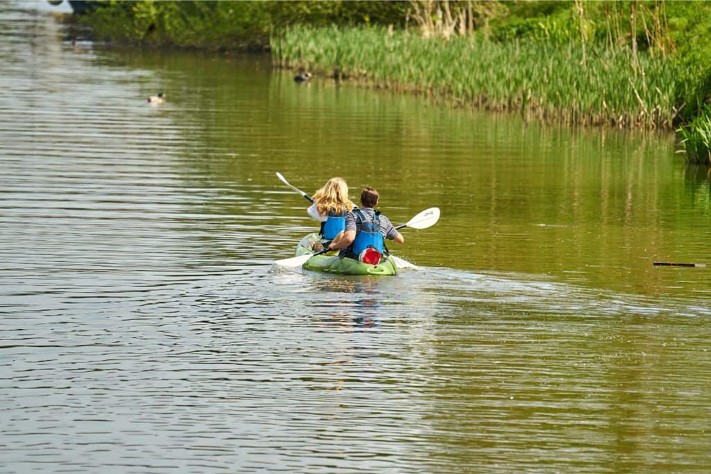 There is a kayak on the water facing away from the camera and kayaking away from us. In front and two the side of them are some ducks.  This is a river and on the right is some long grass on the shore.