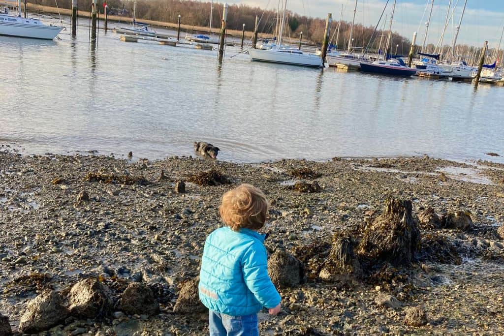 There is a little boy in a blue jacket with his back to the camera. He is walking on a shingle and sand beach on the River Hamble. The river is in front of him and there are boats moored in the middle of the river.