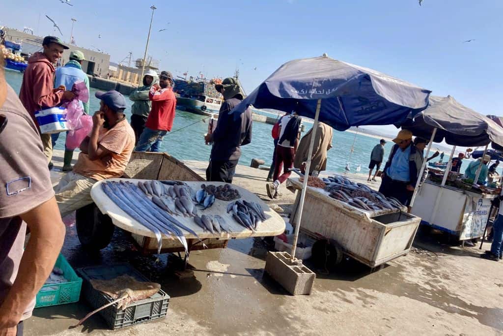 This photo is taken at the fishing port in Essaouira.  It shows the many small fish stalls selling the catch of the day with parasols above the tables and sea gulls flying around in the sky.  It's well worth visiting.