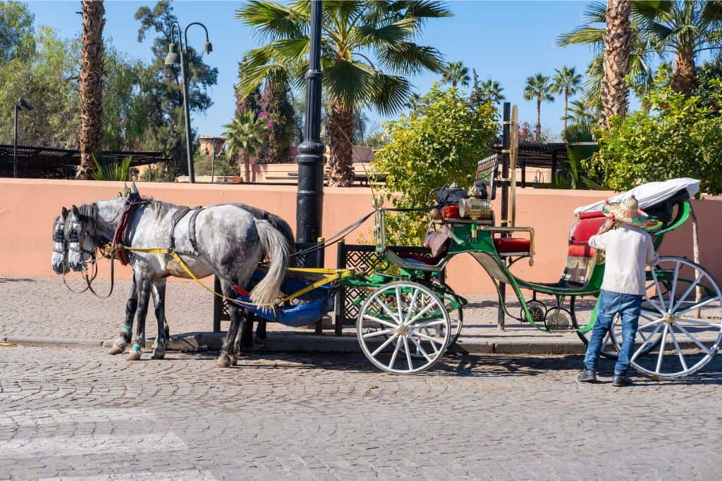A horse and carriage are parked up on the side of the road with the road in front of them. Behind them is an earth wall and a palm tree. This is in Marrakech in Morocco.