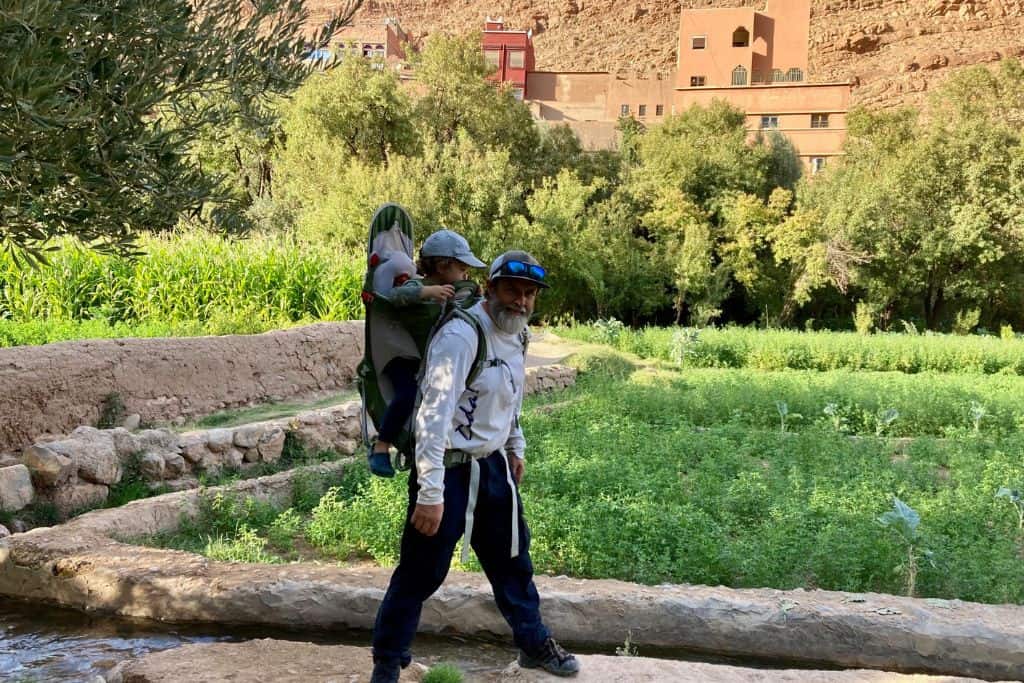 A man is walking on a mud path in an oasis in Todra Oasis in Morocco that is lined with palm trees.  He has on a white top and long black trousers. In a back pack carrier he has his young son with him.  The man and his girlfriend are travelling with their kids.