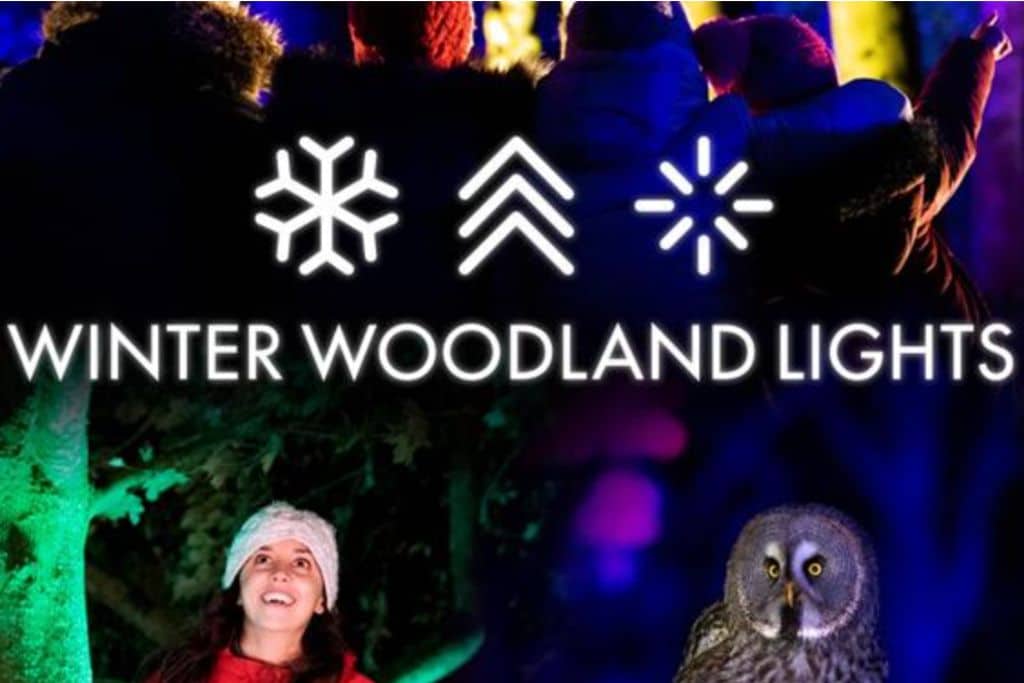 A promotional poster advertising the Winter Woodland Lights event at The Hawk Conservancy. There's an owl in the bottom right of the image and on the other side is a lady with a Christmas hat on singing carols.  It's one of the best Christmas things to do in Hampshire.